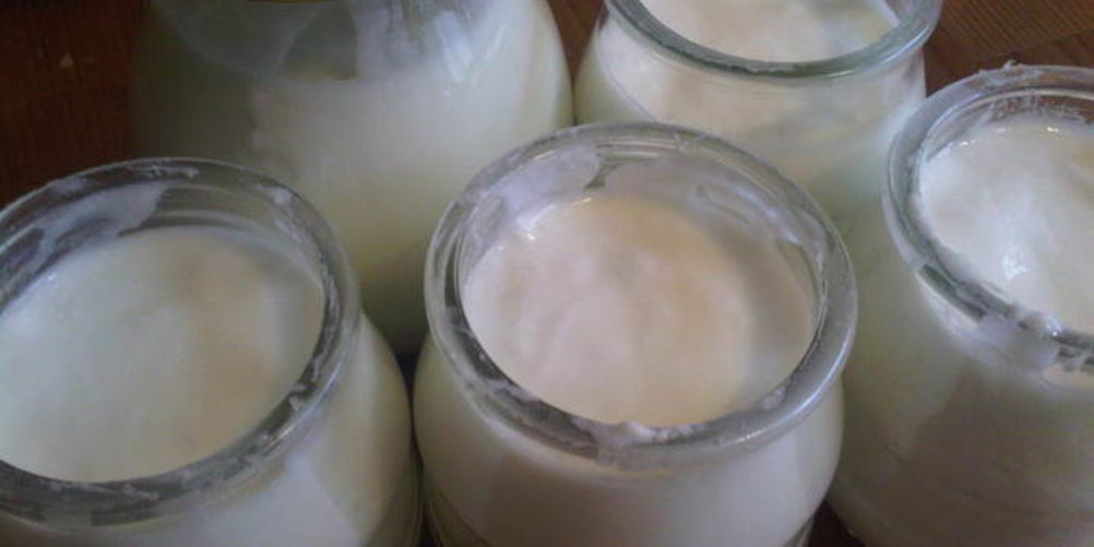 Рецепт домашнего йогурта