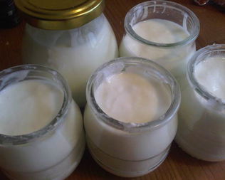 Домашний йогурт