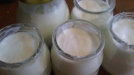 Домашний йогурт