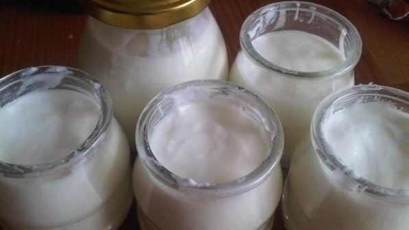 домашний йогурт