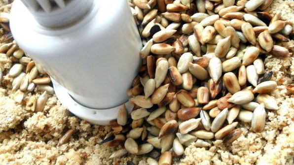 шоколадные конфеты с халвой