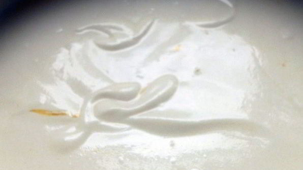 блинная лазанья с лисичками и творожным кремом