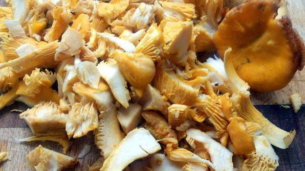 блинная лазанья с лисичками и творожным кремом