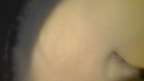 мятно-шоколадное мороженое