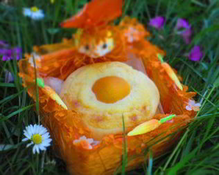 Пасхальные творожные булочки с заварным кремом и абрикосами