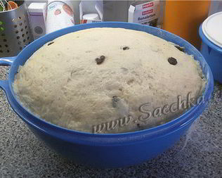 Венское тесто для куличей