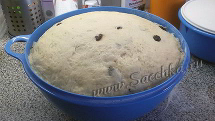 Венское тесто для куличей