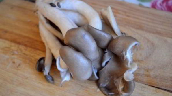 суфле из поленты с вешенками