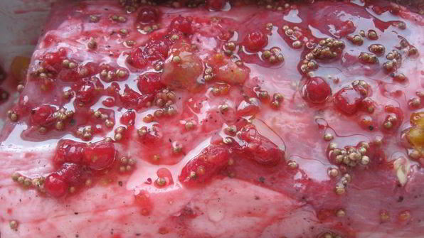 запеченная свинина с суфле из зеленого горошка бабочки прилетели