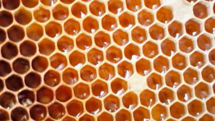 Татарские национальные сладости