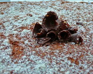 ТирамисуДомашнее