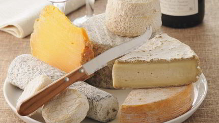 Творог из козьего молока