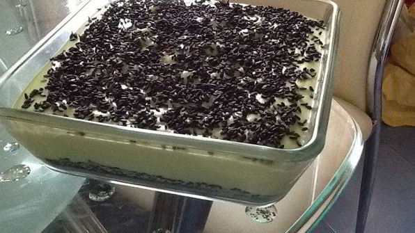 жареное молоко в японском стиле