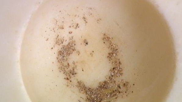 желе из красных апельсинов с кардамоном