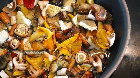 драники со сметано-грибным соусом