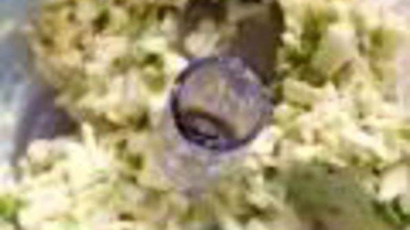 яблочные драники