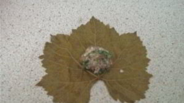 долма узбекская