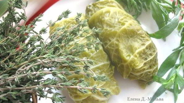 голубцы из прованса