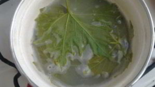 голубцы из виноградных листьев