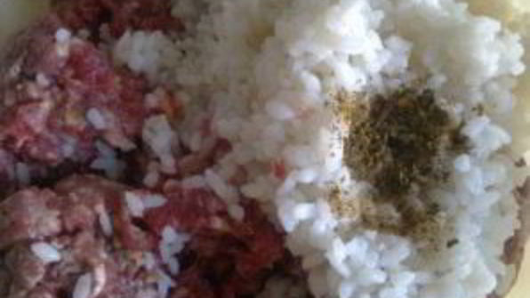 голубцы из виноградных листьев