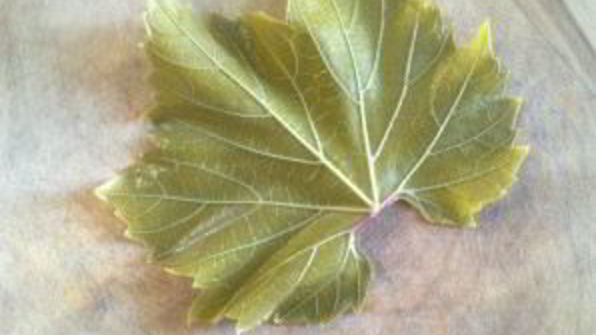 голубцы из виноградных листьев