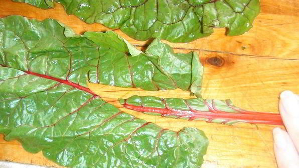 голубцы в свекольной ботве