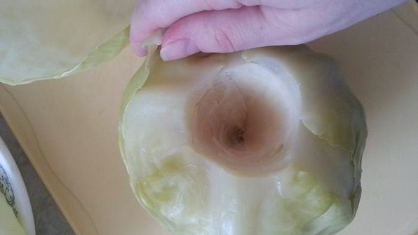 обычные голубцы