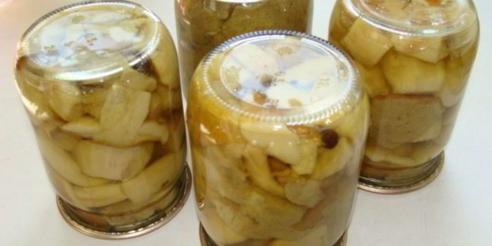 Рецепт грибов белых