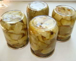 Грибы белые