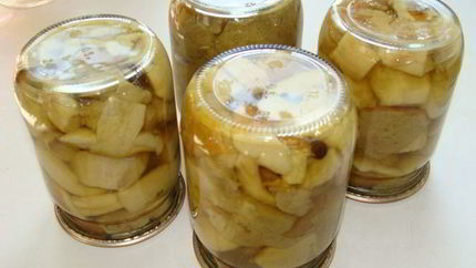 Грибы белые