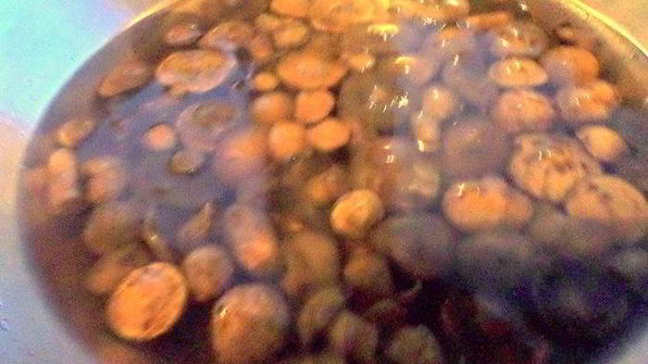 грибы в маринаде