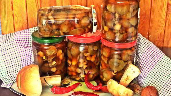 грибы в маринаде