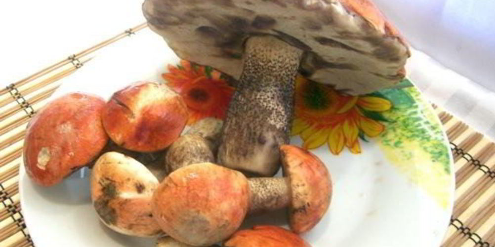 Рецепт подосиновиков, жареных с луком