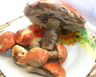 Подосиновики, жареные с луком