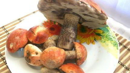 Подосиновики, жареные с луком