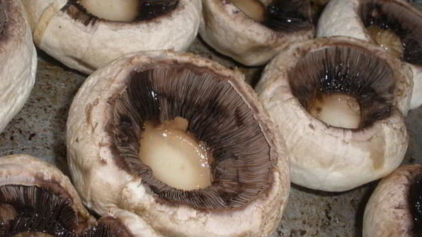 шампиньоны фаршированные курицей