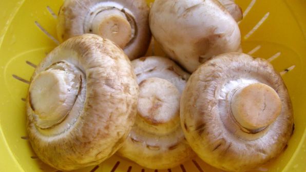 тушеные грибы в мультиварке