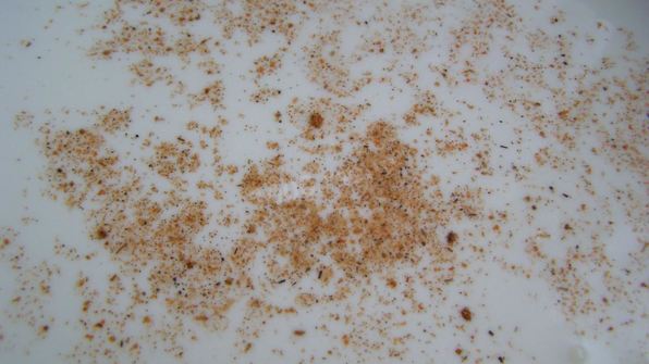 тушеные грибы в мультиварке