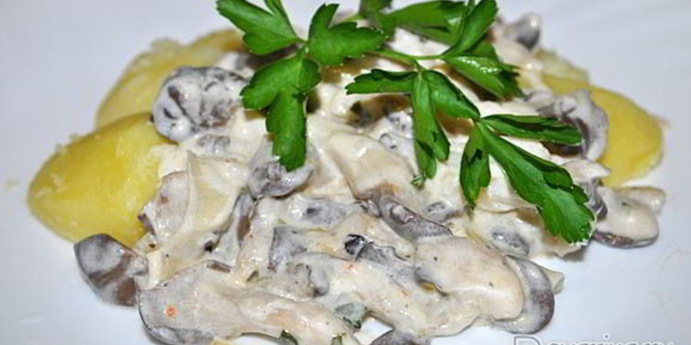 Рецепт вешенок, тушенных в сметане