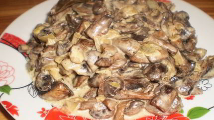 Вешенки жареные с луком и сметаной