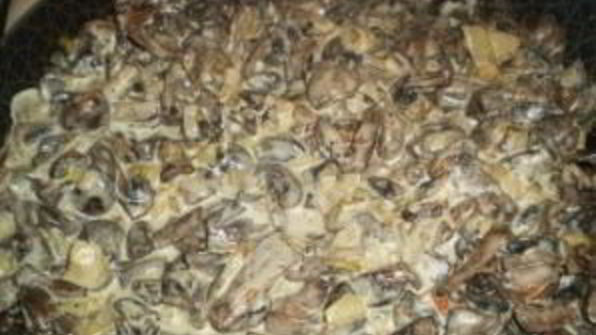 вешенки жареные с луком и сметаной