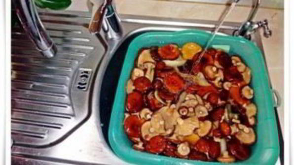 волнушки в маринаде