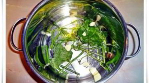 волнушки в маринаде