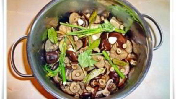 волнушки в маринаде