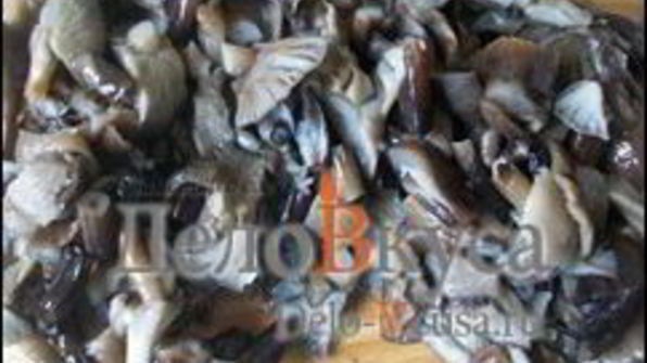 жареные грибы со сметаной — грибная начинка