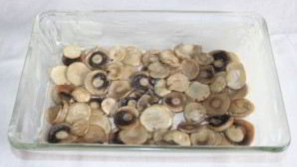 лазанья с лососем