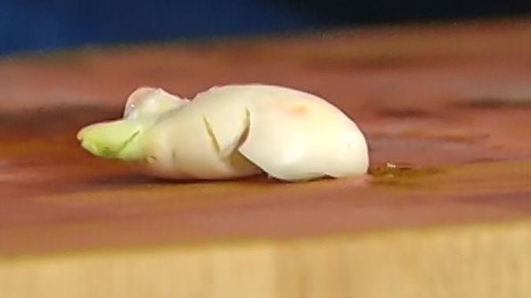 спагетти с крабами и фенхелем