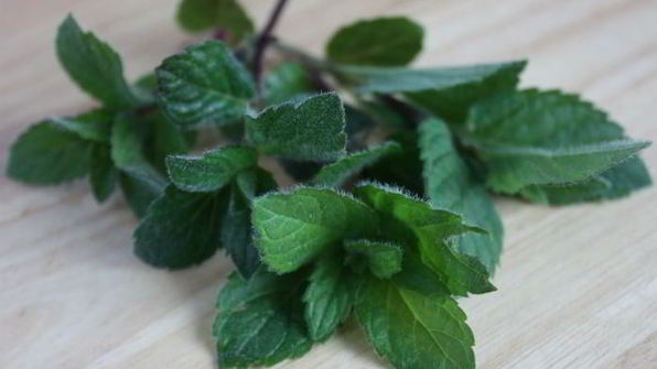 весенняя паста