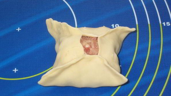 манты дружба с тройным мясом