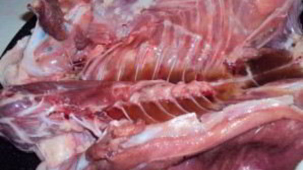 индоутка с картошкой в духовке